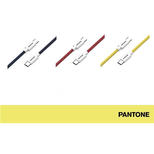 PANTONE CAVI DATI TYPE-C