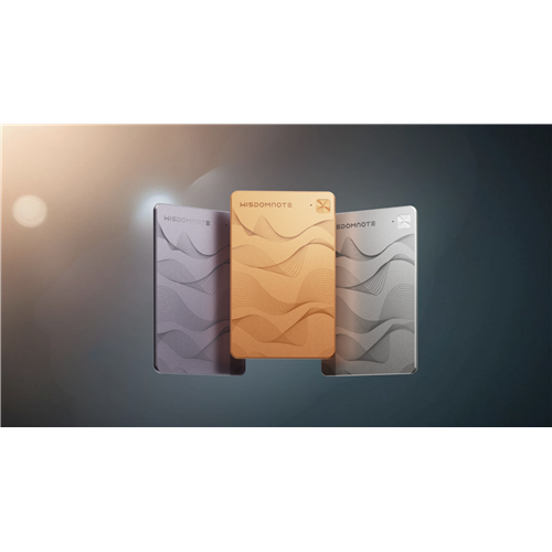 WISDOMUSE NOTE TRADUTTORE AI